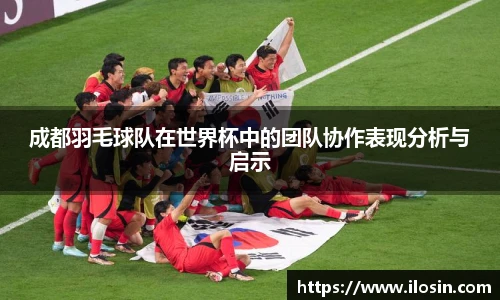 成都羽毛球队在世界杯中的团队协作表现分析与启示